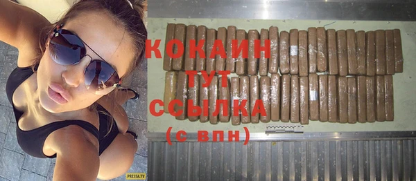 дживик Балахна