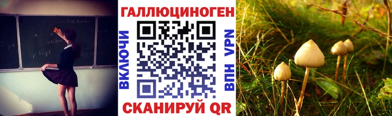 Псилоцибиновые грибы GOLDEN TEACHER Щёлкино